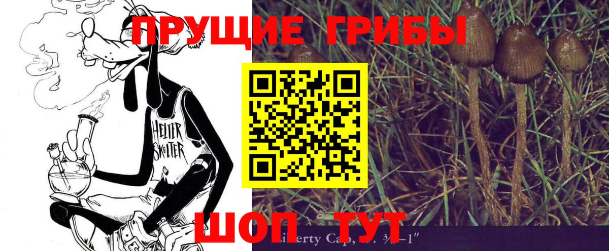 Псилоцибиновые грибы мицелий Апатиты
