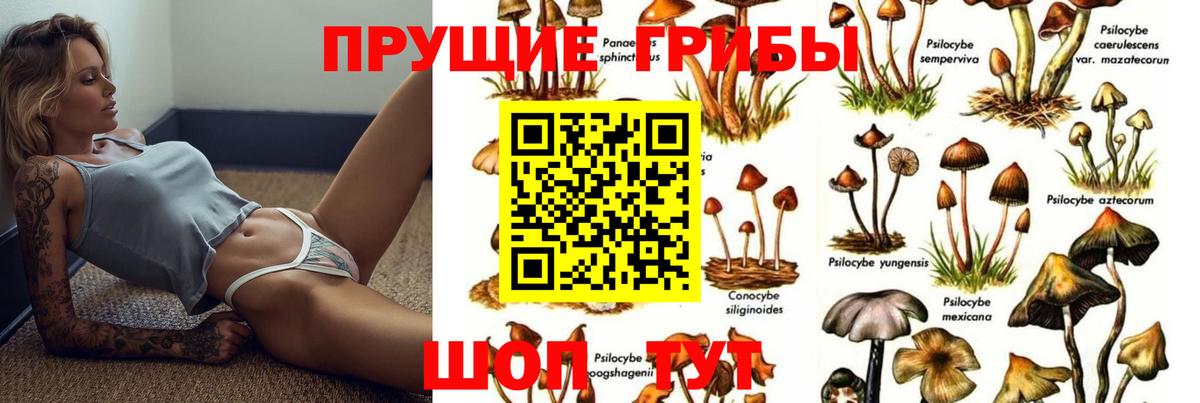 Апатиты  Галлюциногенные грибы Cubensis  наркошоп  Вход с VPN 